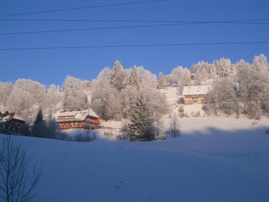 Landgasthaus Gemsennest Feldberg  Extérieur photo